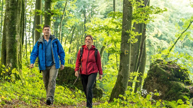 Zwei Wanderer laufen über einen kleinen Pfad mitten druch einen dichten Laubwald.