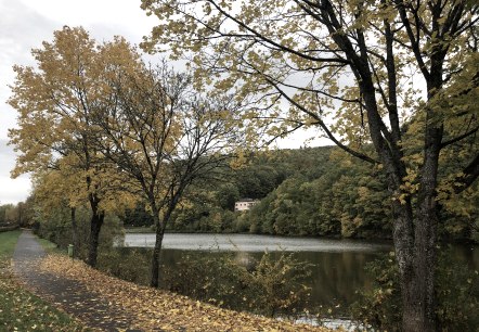 Autumn scene at the Wirftstausee reservoir in Stadtkyll. Yellow leaves cover the path along the lake, surrounded by trees and wooded hills., &copy; Touristik GmbH Gerolsteiner Land