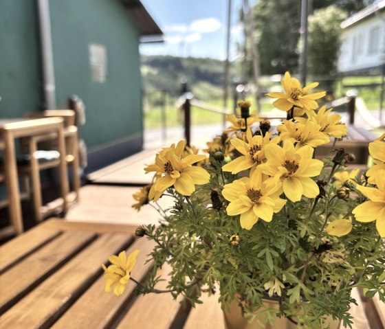 Garten und Terrasse der Pension