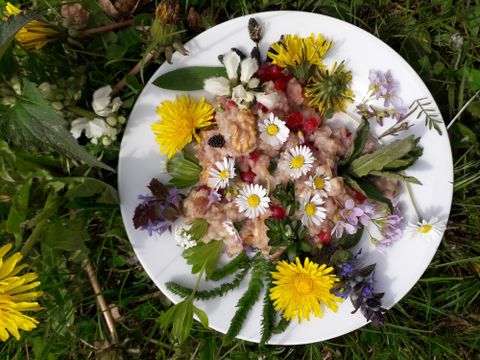 A plate with a colorful mixture of edible flowers and herbs.
Surrounded by fresh green grass and flowers.