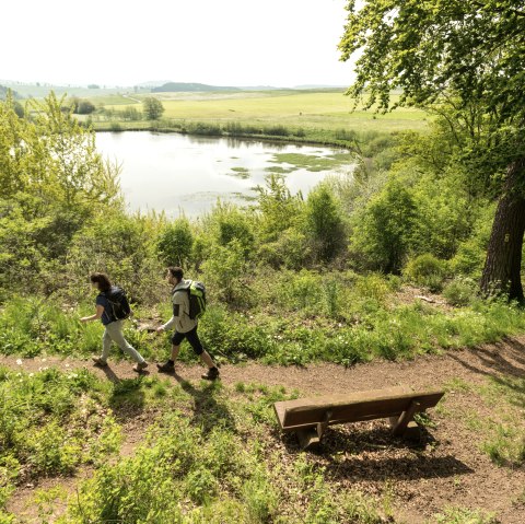 Twee wandelaars op een pad naast een meer in een groen landschap.