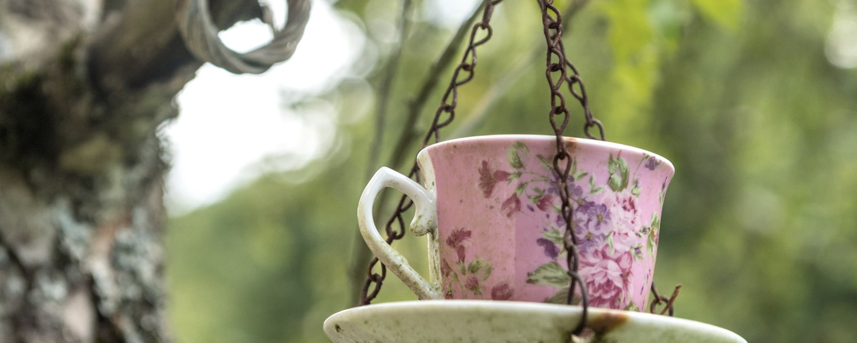 A pink cup with a floral pattern hangs from a chain on a branch in a green, wooded setting., © Eifel Tourismus GmbH, Dominik Ketz