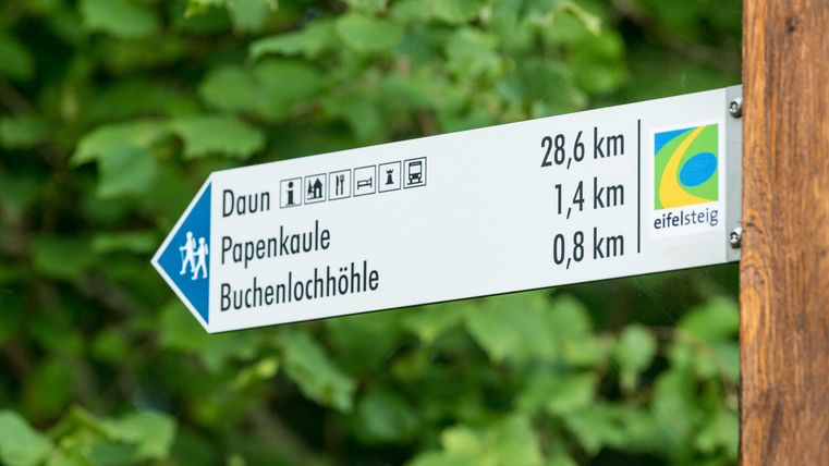 Panneau indicateur montrant les distances à Daun (28,6 km), Papenkaule (1,4 km) et Buchenlochhöhle (0,8 km) sur le Eifelsteig. Fond en feuilles vertes.