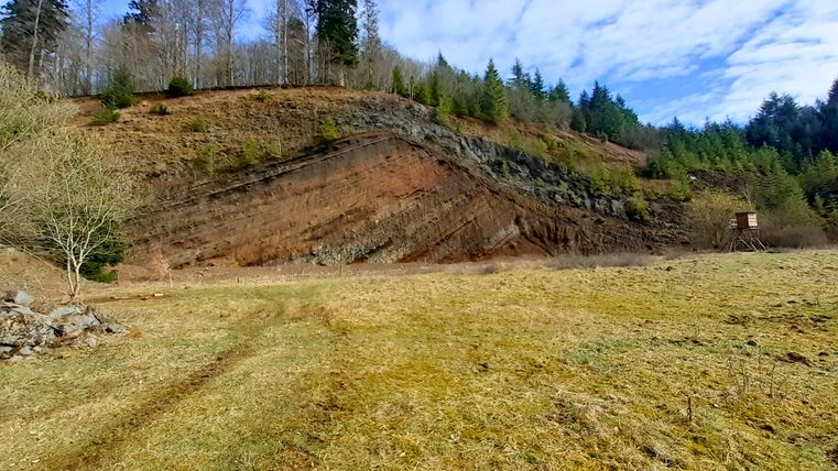 Gesteinsschichten am Rockeskyller Kopf mit Wald und Wiese im Vordergrund.