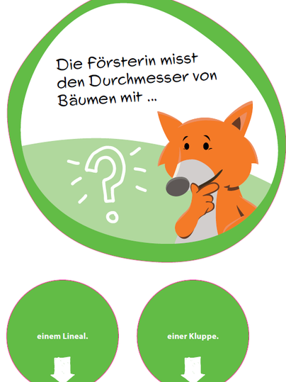 Quiz-Schild zum Baumdurchmesser mit Fuchs-Maskottchen.