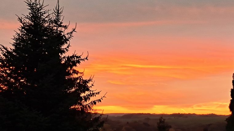 Ein Sonnenuntergang über einer bewaldeten Landschaft. Der Himmel strahlt in orange und rosa Farben.