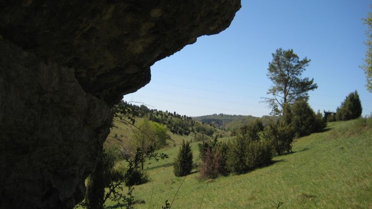 Blick von einem Felsen auf eine grüne Hügellandschaft mit Bäumen und blauem Himmel.