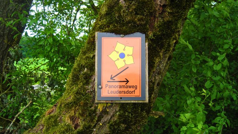 Ein Schild mit der Aufschrift 'Panoramaweg Leudersdorf' ist an einem moosbewachsenen Baum befestigt, umgeben von grünen Blättern.
