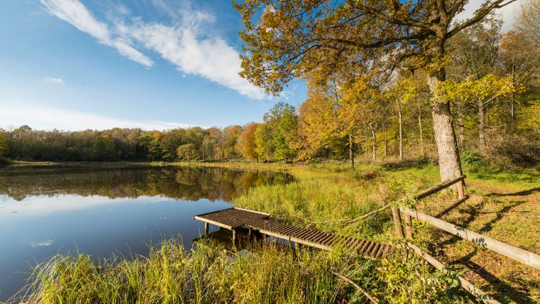 Windsborn kratermeer met een loopbrug, omgeven door herfstbossen.