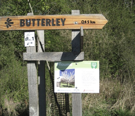 Holzwegweiser zeigt Richtung Butterley, 0,45 km entfernt. Darunter Infotafel über Pflaumenbaum. Hintergrund aus Büschen und Bäumen., © Touristik GmbH Gerolsteiner Land