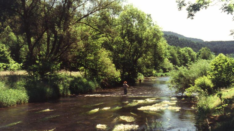 <p>Ein Fluss umgeben von Bäumen und Wiesen.</p>