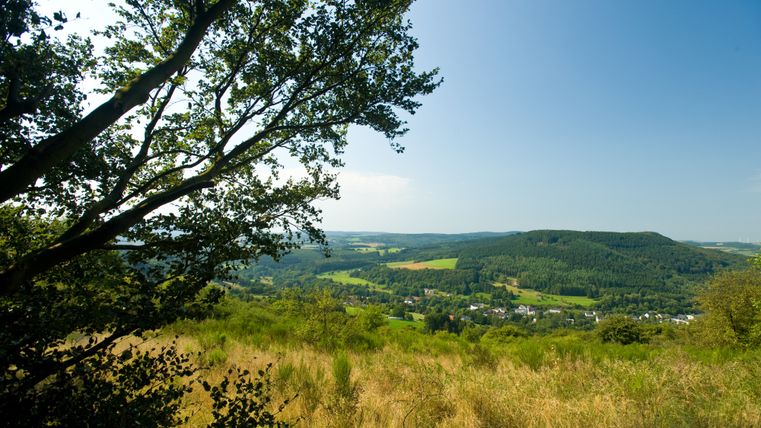 Landschaftsausblick vom Eifelsteig mit Bäumen im Vordergrund und Hügeln im Hintergrund.