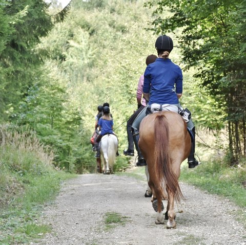 Auf einem geschotterten Waldpfad laufen vier Pferde mit Abstand hintereinander. Auf jedem Pferd sitzt eine oder zwei Personen in Reitkleidung.