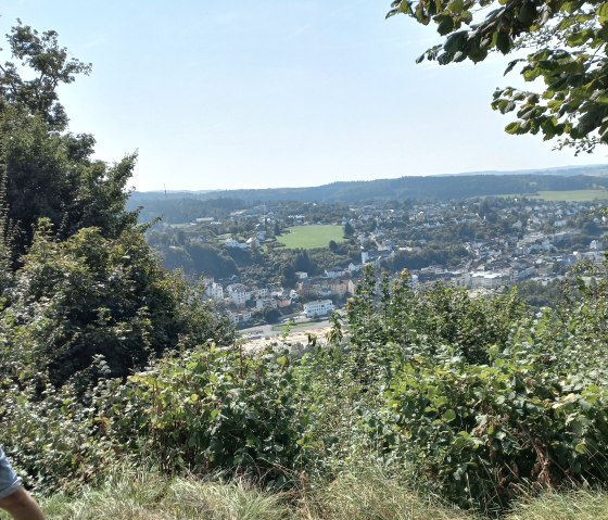 Blick &uuml;ber die Stadt Gerolstein mit zahlreichen Geb&auml;uden durch dichte Str&auml;ucher hindurch.