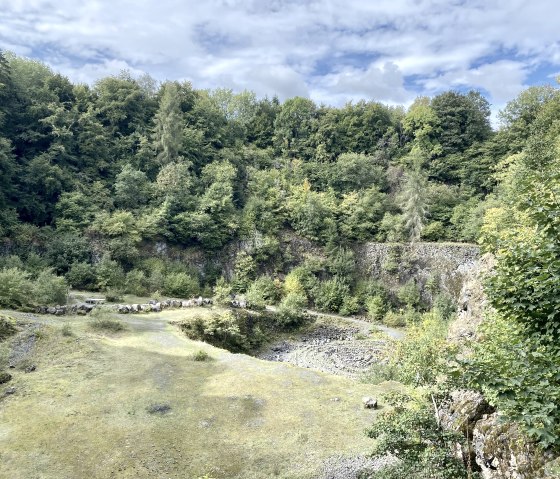 Green quarry with lush vegetation and rock faces under blue skies. The ground is covered with grass and stones., &copy; Touristik GmbH Gerolsteiner Land