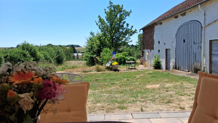 Eine grüne Wiese mit einem schattigen Baum und einem alten Gebäude im Hintergrund. Im Vordergrund ist ein Tisch mit Blumen.