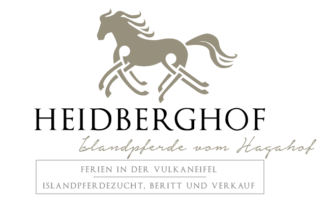Ein elegantes Logo des Heidberghofs mit einem stilisierten Pferd. Der Text erwähnt Ferien in der Vulkaneifel sowie die Zucht und den Verkauf von Islandpferden.