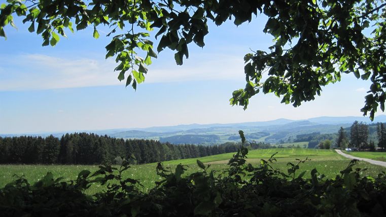 A wide landscape with gentle hills and green meadows. The sky is clear and bright blue, with trees in the foreground.