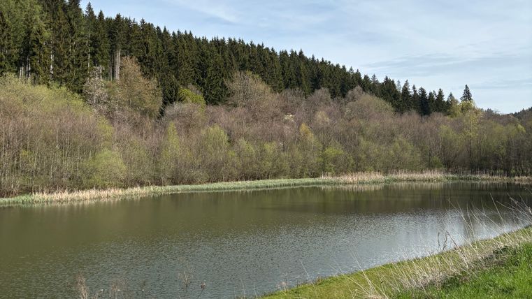 Ein ruhiger Stausee umgeben von Bäumen und Gras unter einem blauen Himmel.