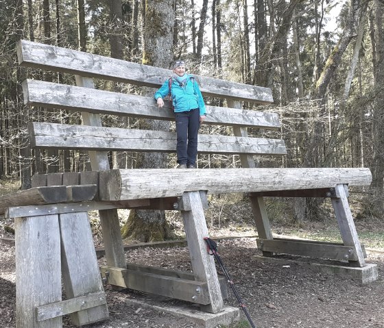 A person in a blue jacket stands on a huge wooden bench in the forest. Hiking poles are leaning against the bench., © Touristik GmbH Gerolsteiner Land, Ute Klinkhammer