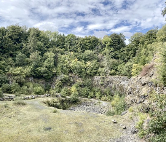 Gr&uuml;ner Steinbruch mit &uuml;ppiger Vegetation und Felsw&auml;nden unter blauem Himmel. Der Boden ist mit Gras und Steinen bedeckt., &copy; Touristik GmbH Gerolsteiner Land