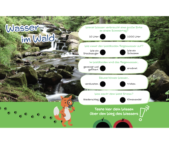Information sign &lsquo;Water in the forest&rsquo; with a quiz on water knowledge through drop-in holes for either/or questions.