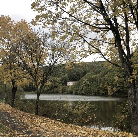 Herbstliche Szene am Wirftstausee in Stadtkyll. Gelbe Bl&auml;tter bedecken den Weg entlang des Sees, umgeben von B&auml;umen und bewaldeten H&uuml;geln., &copy; Touristik GmbH Gerolsteiner Land