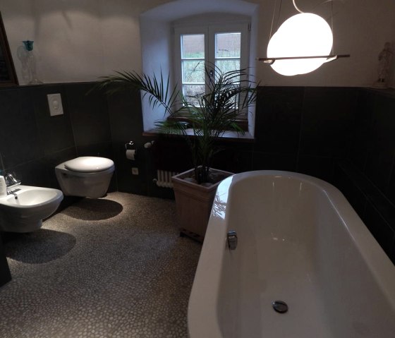 Luxe badkamer Gedeelde bronkamer/kamer met uitzicht op de binnenplaats