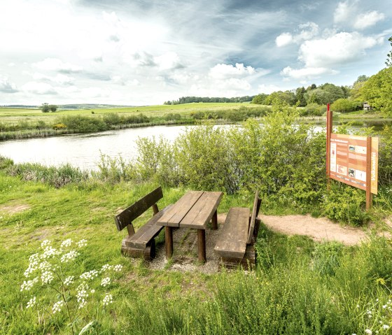 Holztisch mit Bänken am Ufer eines Sees, umgeben von grüner Landschaft und einer Infotafel zur Vulkaneifel., © Eifel Tourismus GmbH, Dominik Ketz