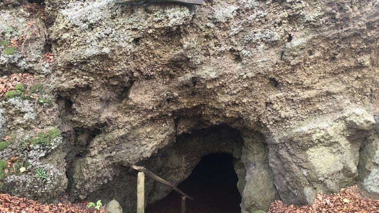 Eingang zur Martins-Höhle in Hohenfels-Essingen, umgeben von Laub und Felsen. Ein Holzschild mit der Aufschrift 'Martins-höhle' ist sichtbar.