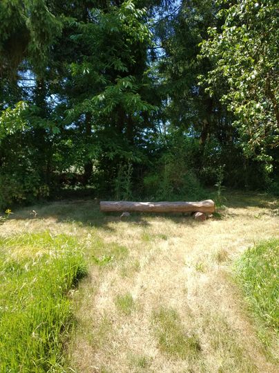 Une zone tranquille avec de l'herbe et des arbres. Un tronc de bois repose au milieu du paysage.