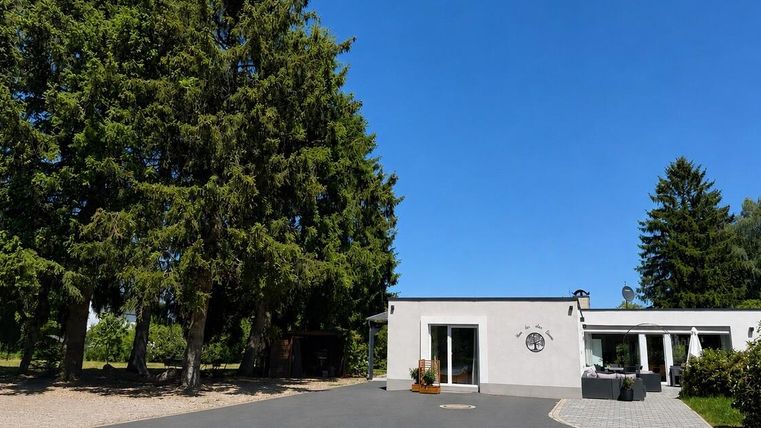 Une maison moderne entourée de grands arbres sous un ciel bleu clair. L'allée est pavée et accueillante.