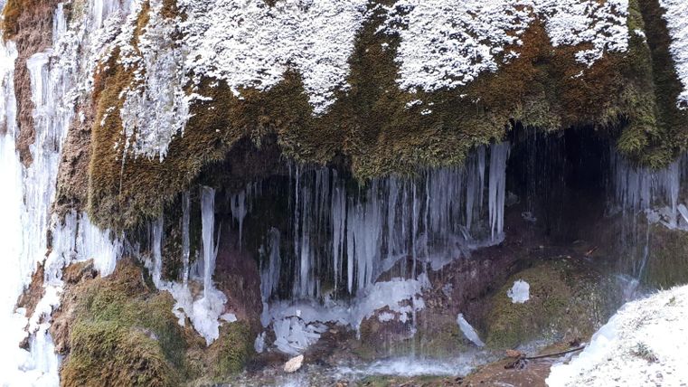 Eine gefrorene Wasserfalllandschaft mit Eiszapfen und Moos. Die Szenerie vermittelt eine ruhige, winterliche Atmosphäre.