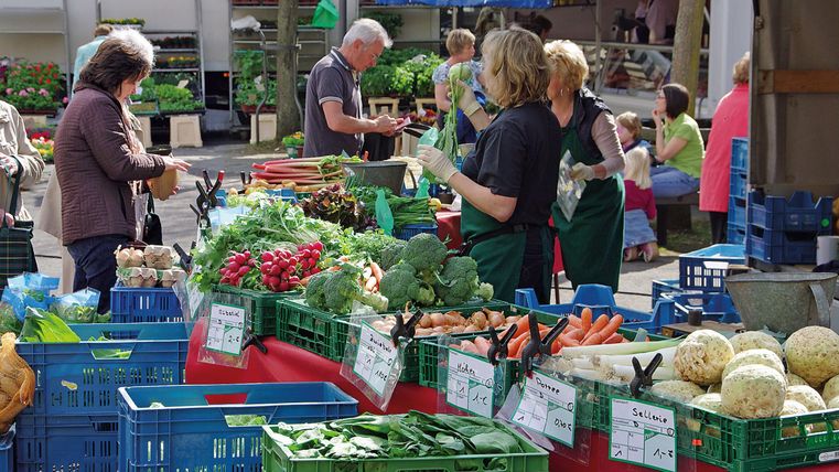 Menschen kaufen frisches Gemüse auf einem Marktstand. Verschiedene Gemüsesorten wie Radieschen, Brokkoli und Sellerie sind ausgestellt.