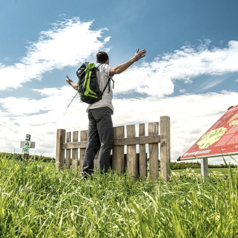 View over the garden fence on the Vulcano Trail hiking trail, © Eifel Tourismus GmbH, D. Ketz