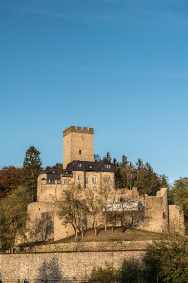 Die Burg Kerpen thront auf einem bewaldeten Hügel, umgeben von Bäumen und unter klarem, blauem Himmel.