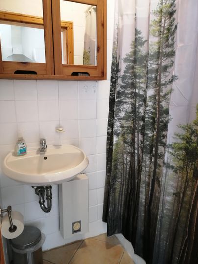 Een kleine badkamer met een wastafel en een spiegel. De douchegordijn toont een motief van hoge bomen.