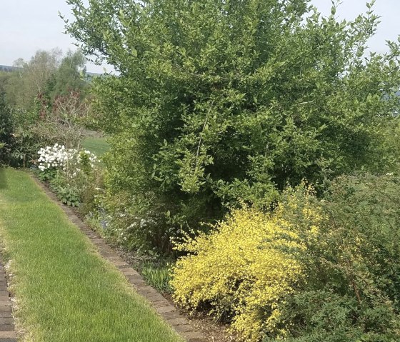 Einfahrt, &copy; Faber