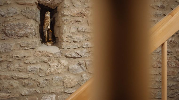 Eine kleine Statue eines Vogels sitzt in einer Nische in einer Steinmauer. Im Vordergrund ist ein Holzgeländer einer Treppe sichtbar.
