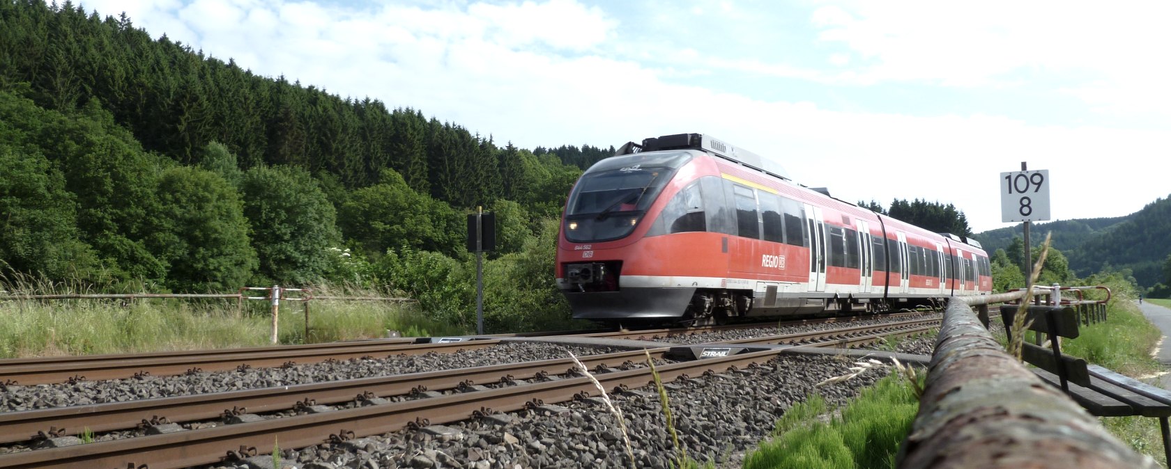 A regional railway that runs on rails through green forests.