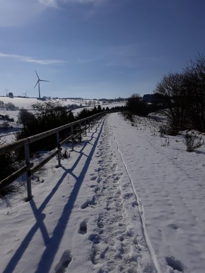 Ein verschneiter Weg führt durch eine Winterlandschaft. Im Hintergrund sind Bäume und ein Windrad sichtbar.