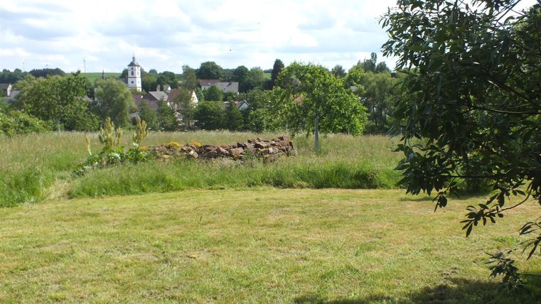 Een groene weiland met bomen en een kleine stenen muur op de achtergrond. Op de achtergrond zijn gebouwen en een blauwe lucht met enkele wolken te zien.