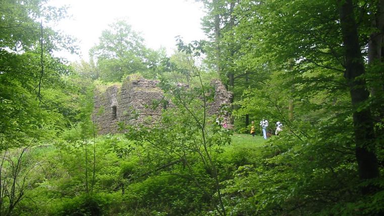 Ein dichter grüner Laubwald, in dem die Überreste einer steinernden Burg mittendrin stehen.