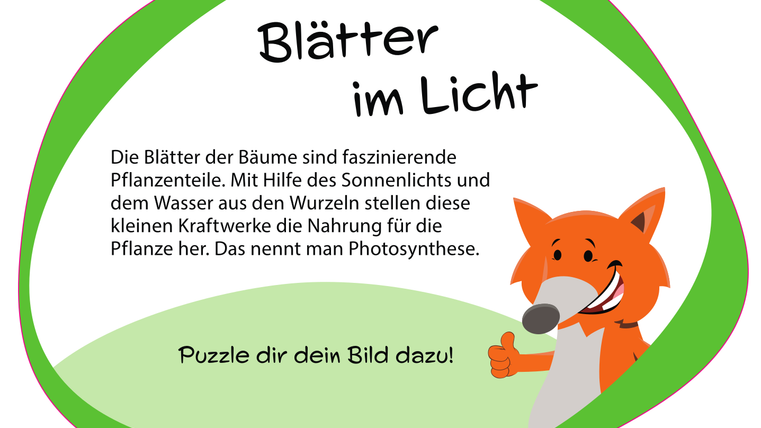 Informationsschild "Blätter im Licht" mit Fuchs-Maskottchen