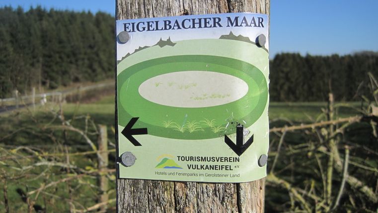 Ein Schild am Baum zeigt den Weg zum Eigelbacher Maar in der Vulkaneifel.