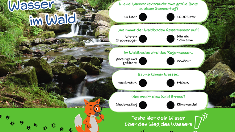 Informationsschild "Wasser im Wald" mit Quiz zum Wasserwissen durch einwurflöcher bei Entweder - Oder Fragen.