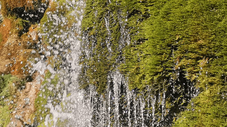 Ein kleiner Wasserfall fließt über moosbedeckte Steine. Das Wasser spritzt sanft über die grüne Landschaft.