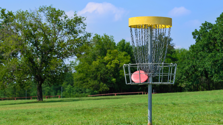 Ein Discgolf-Korb steht auf einer grünen Wiese. Im Hintergrund sind Bäume und ein klarer Himmel sichtbar.