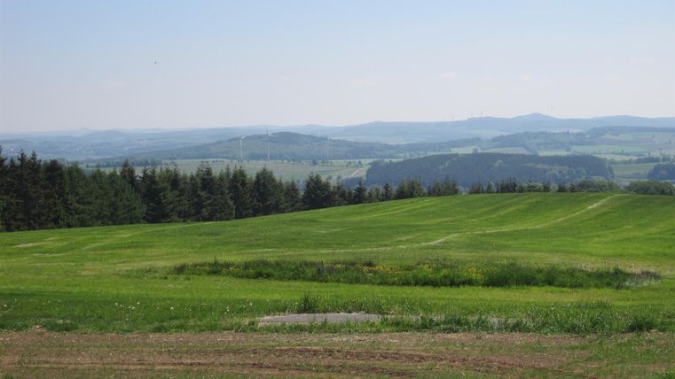Grüne Wiesen und Wälder in der Eifel, mit Windrädern in der Ferne unter blauem Himmel.