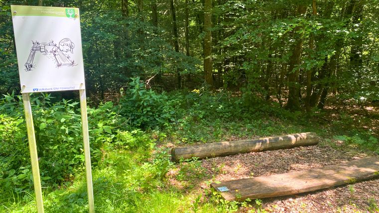 Fitnessstation im Wald mit Übungstafel und Holzbalken.